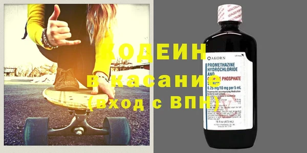 спиды Бикин