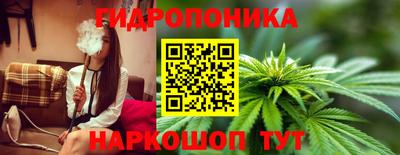 эйфоретик Канаш