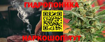 эйфоретик Канаш