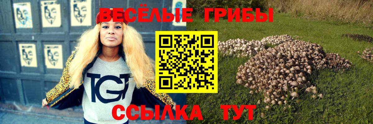 Псилоцибиновые грибы ЛСД Малоярославец