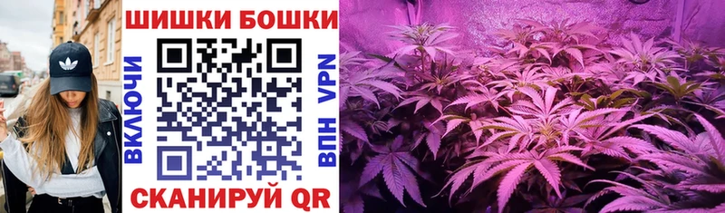 Бошки Шишки гибрид  Малоярославец 